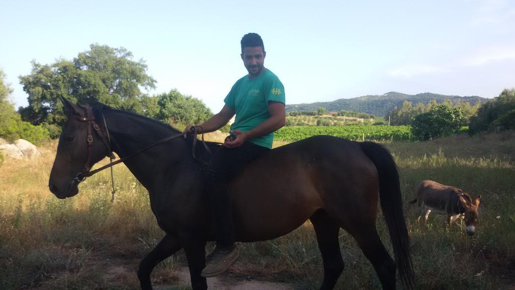 Agriturismo Su Solianu Bari Sardo Eksteriør bilde