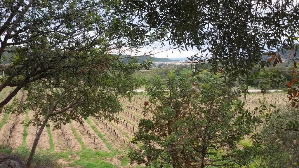 Agriturismo Su Solianu Bari Sardo Eksteriør bilde